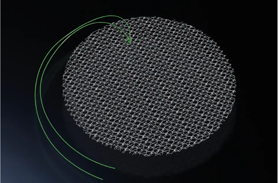 TELA IPOM PVDF DUPLA FACE 12CM CIRCULAR